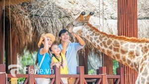Vé Safari Phú quốc – Khám phá thế giới động vật muôn màu