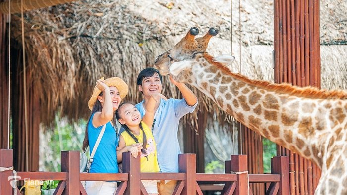 Bảng giá vé Safari Phú Quốc mới nhất 2022 - Flane