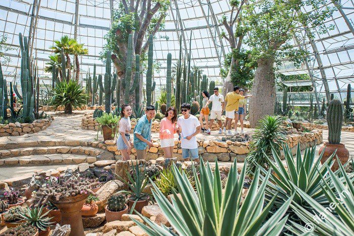 Vẻ đẹp của VinWonders Nha Trang