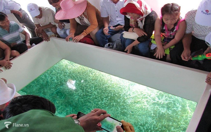 Khám phá đại dương với tàu đáy kính tại Hòn Mun Nha Trang