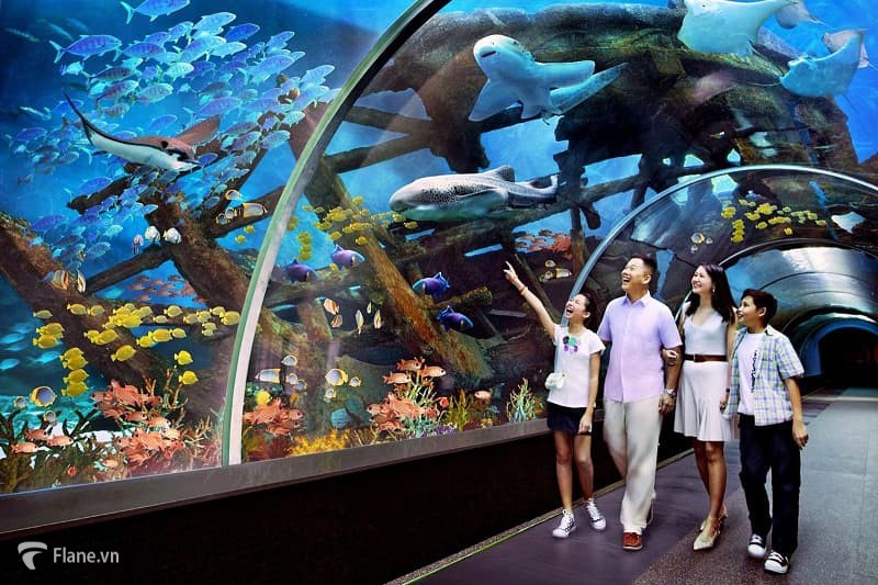 Trải nghiệm hệ sinh thái biển khi đến với Nha Trang