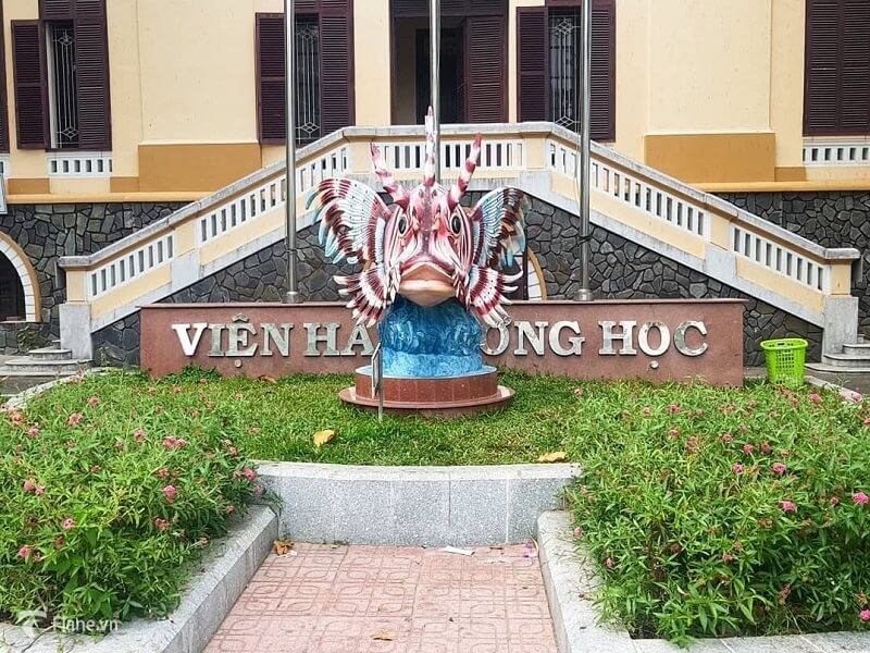 Viện hải dương học Nha Trang - điểm du lịch thú vị