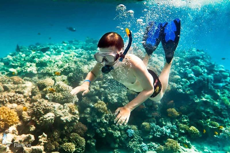 Khám phá rạn san hô khi đi tour 3 đảo Phú Quốc