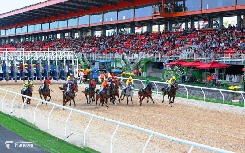 Biểu diễn đua ngựa tại khu du lịch Đại Nam