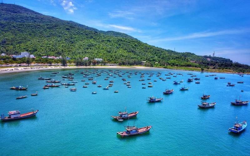 Ngắm nhìn cảnh quan đẹp tựa tranh vẽ tại các điểm lặn biển Đà Nẵng