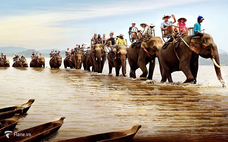 Trải nghiệm cưỡi voi tại Hồ Tuyền Lâm Đà Lạt