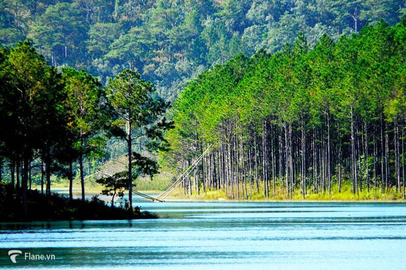 Hồ Tuyền Lâm Đà Lạt địa điểm du lịch thơ mộng
