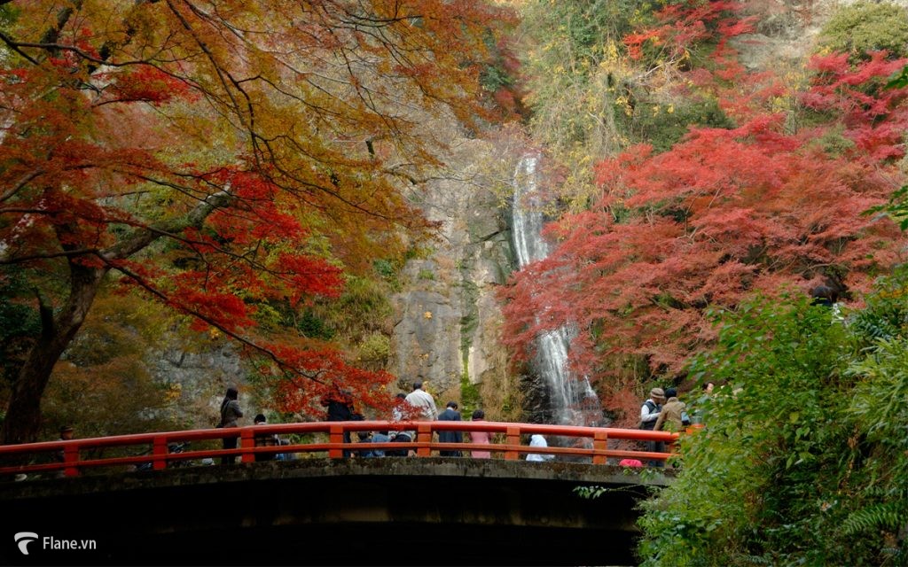 Cảnh đẹp mùa thu tại nước Nhật 