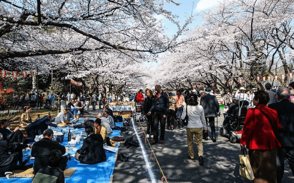 Lễ hội mùa xuân tại Nhật Bản