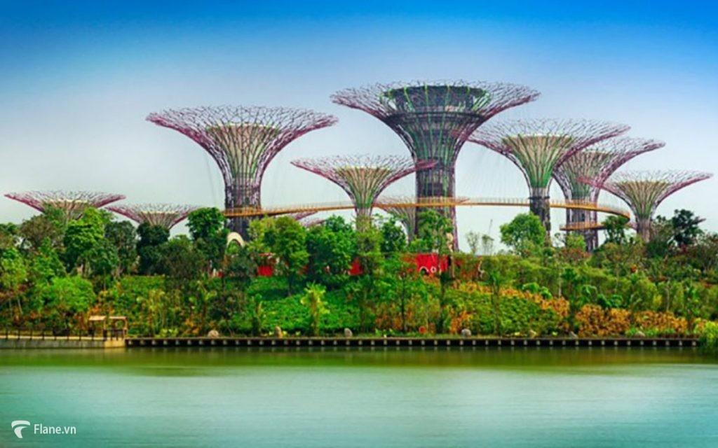 Vườn bên vịnh tại Singapore