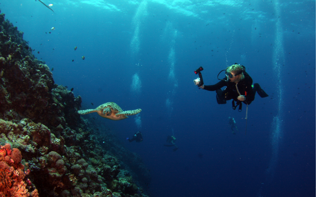 Du khách trải nghiệm lặn ngắm san hô ở Bình Hưng