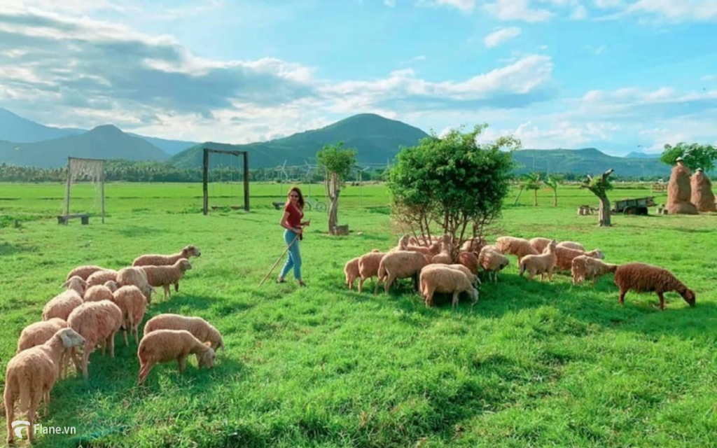 Cảnh quan thiên nhiên đẹp mắt tại Đồng Cừu Suối Tiên
